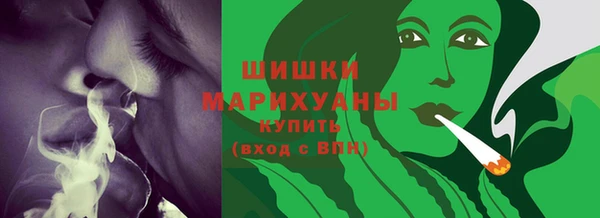 шишки Медногорск