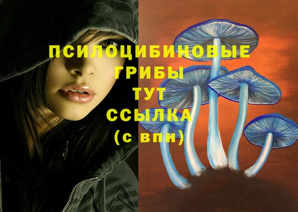 2c-b Майский