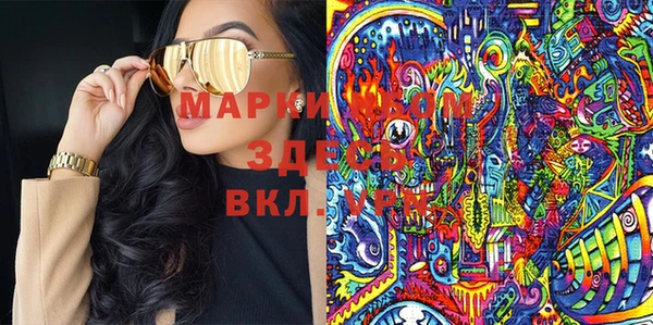 шишки Медногорск