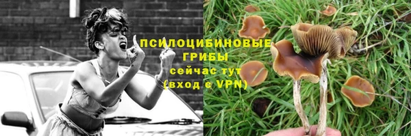 гашиш Магас