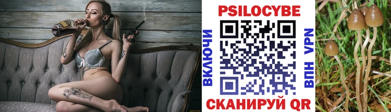 Псилоцибиновые грибы Cubensis  ОМГ ОМГ зеркало  Узловая  закладки 