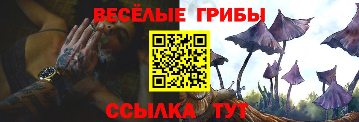 Псилоцибиновые грибы мухоморы  Вход с VPN  Узловая  Галлюциногенные грибы GOLDEN TEACHER 